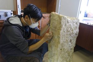 Младшим научным сотрудником А.У. Урбушевым проводится механическая очистка фрагмента эпиграфического памятника золотоордынского периода