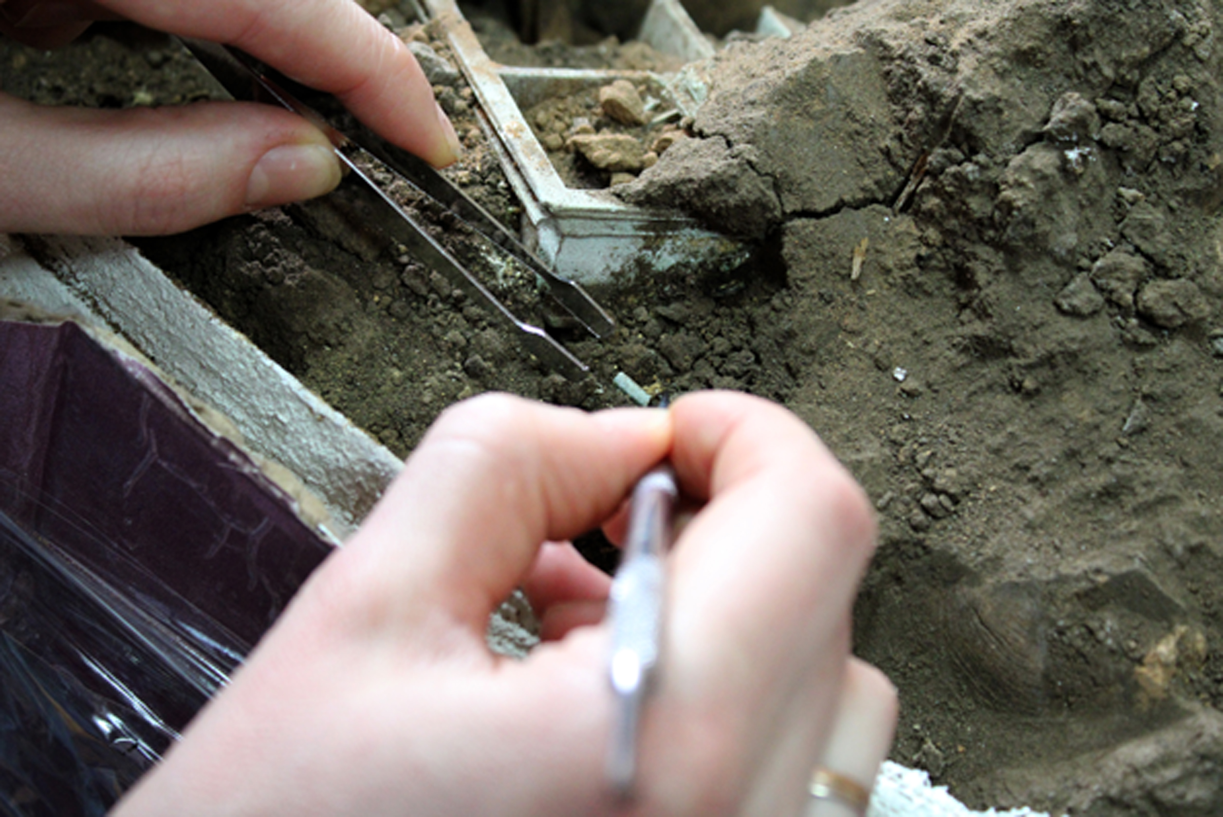 Congratulations to restorers on their professional holiday
